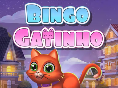 Bingo gatinho game